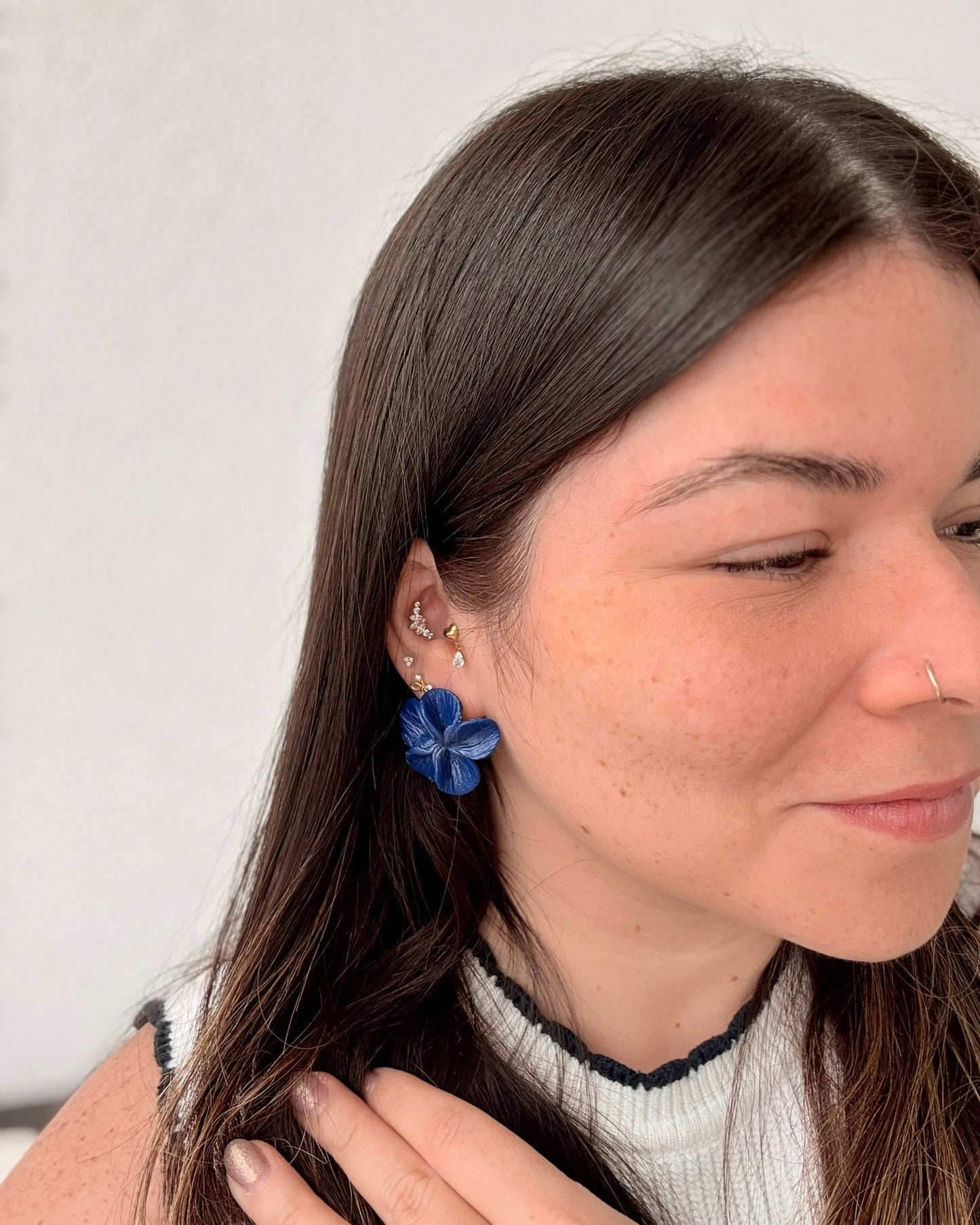 arosmedellinazulmarino