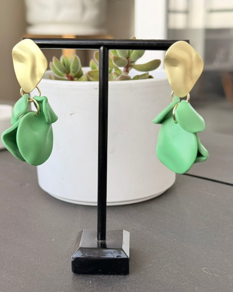 aroscoquetaverdeclaro_1